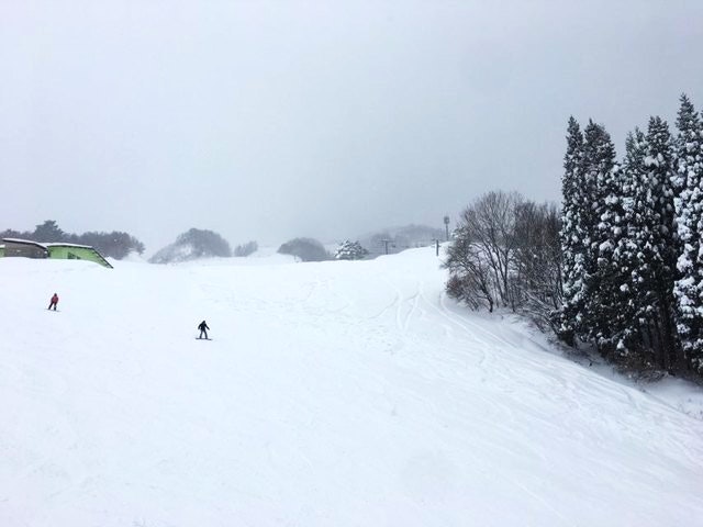 兵庫 県 スキー 場
